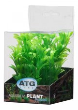 ATG Premium rostlina Mini (8-14cm) 216