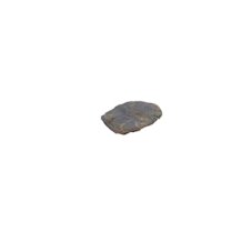 Blue Marbled Rock L