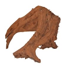 MC Kořen Amazonas Root L 25-35 cm
