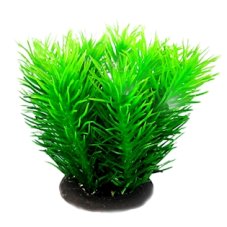 ORBIT Plastová rostlina, Deluxe small Nr.1, 12 cm