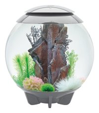 Oase biOrb HALO 60 LED šedé