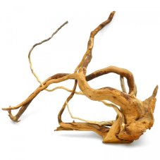 Kořen Red Moor wood XXL (> 1,1 kg)