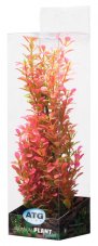 ATG Premium rostlina Střední (26-32cm) 406