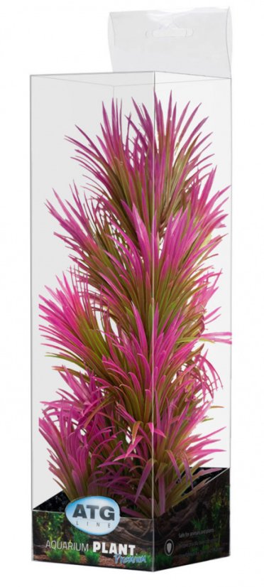 ATG Premium rostlina Střední (26-32cm) 438