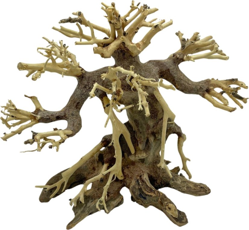 Bonsai Driftwood 25 x 13 x 22 cm No.82
