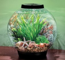 Oase biOrb dekorační sada Palau 30 l