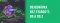 Průběh objednávky, expedice a doručení zboží, vratky, reklamace