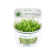 Rostliny IN-VITRO