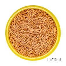 JBL Krmivo ProNovo Betta Insect Sticks S, 100 ml