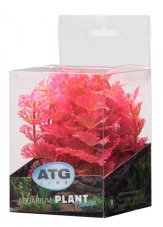 ATG Premium rostlina Mini (8-14cm) 208