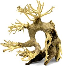 Bonsai Driftwood 15 x 10 x 14 cm No.3