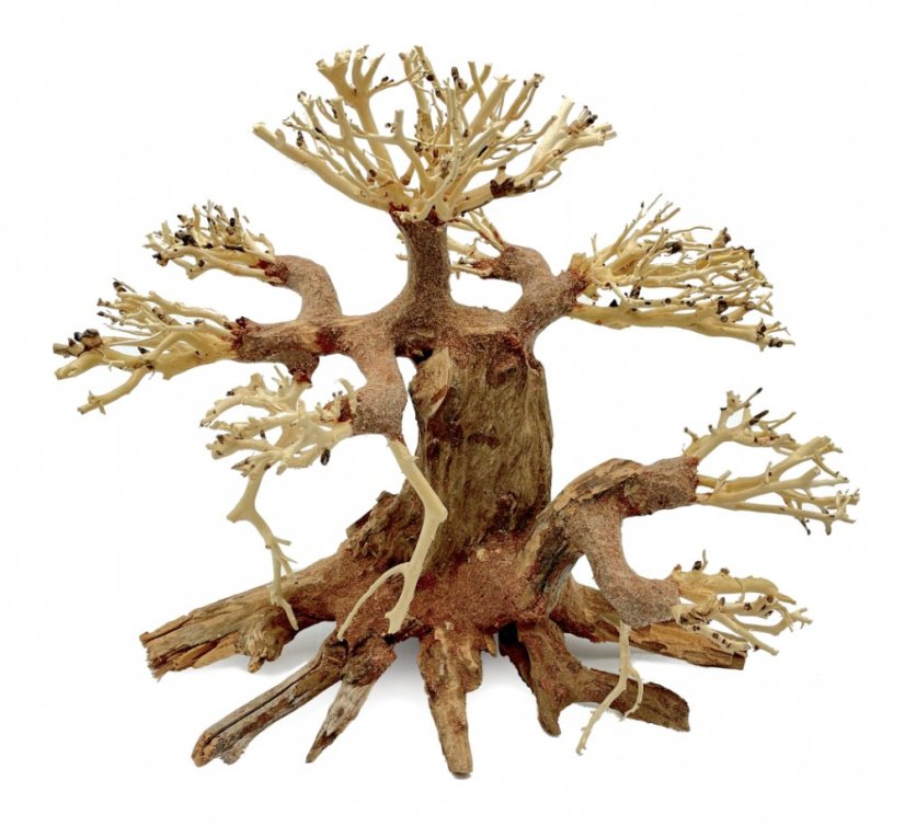 Bonsai Driftwood 30 x 19 x 28 cm No.100