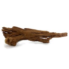 MC Mangroven-Wurzel, malý 15-25 cm