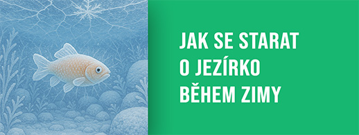 Jak se starat o jezírko během zimy