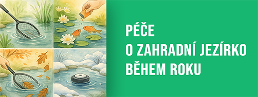 Péče o zahradní jezírko během roku