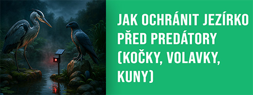 Jak ochránit jezírko před predátory (kočky, volavky, kuny)
