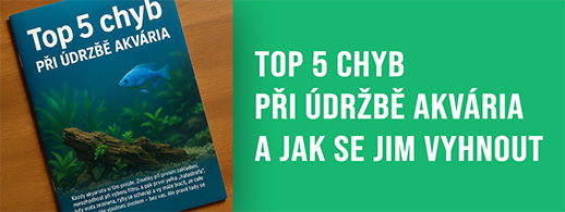 Top 5 chyb při údržbě akvária a jak se jim vyhnout