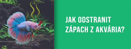 Jak odstranit zápach z akvária